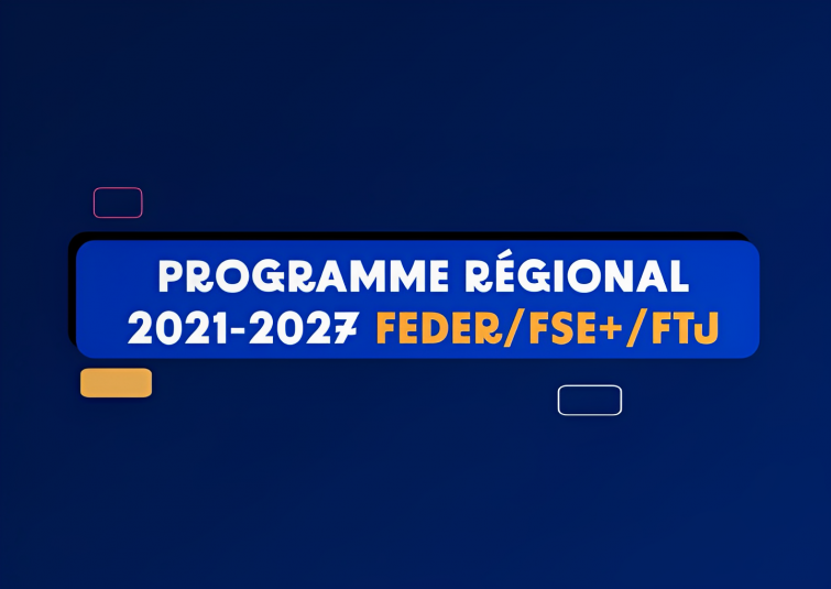 Preview image for the video "Les fonds européens, épisode 1 : programme régional FEDER/FSE+/FTJ Auvergne-Rhône-Alpes - 2021-2027".
